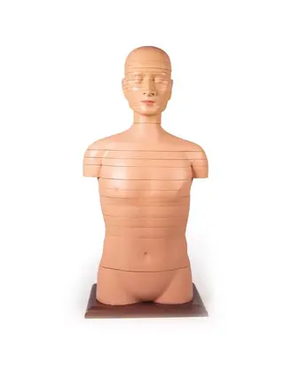 Velikost trupu disku v životní velikosti