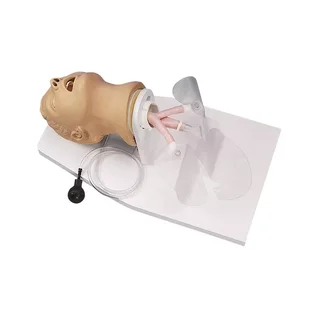 Model intubace pro dospělé