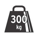 Plošinový vozík 200, pro 300 kg