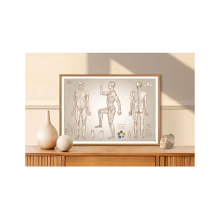 Akupunkturní plakát s akupunkturními body - 100x70 cm