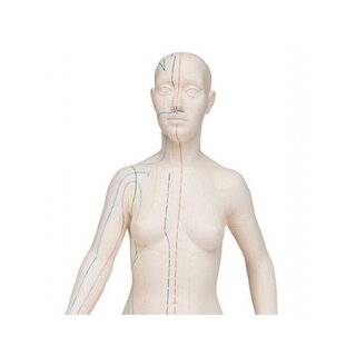 Akupunkturní model 70 cm - Žena